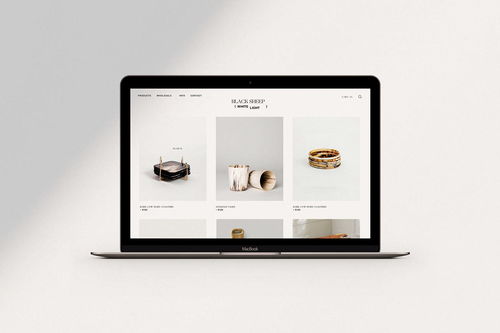 融合科技與自然的品牌美學(xué) 平面設(shè)計(jì)在室內(nèi)設(shè)計(jì)產(chǎn)品品牌形象與網(wǎng)絡(luò)技術(shù)開(kāi)發(fā)中的創(chuàng)新實(shí)踐